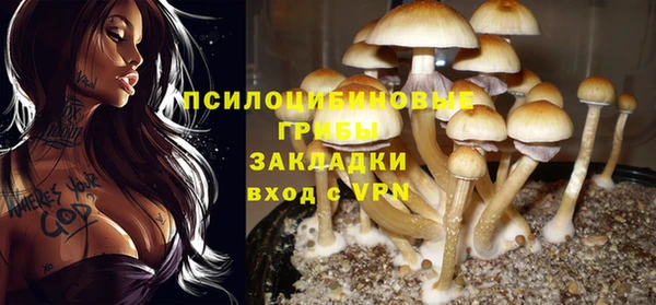 мескалин Алексин