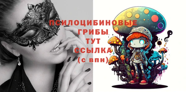 хмурый Алексеевка