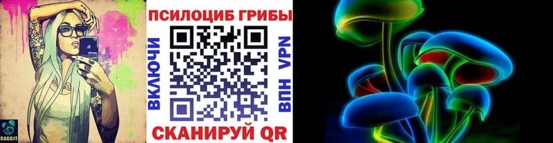 Галлюциногенные грибы Psilocybine cubensis  Воткинск 