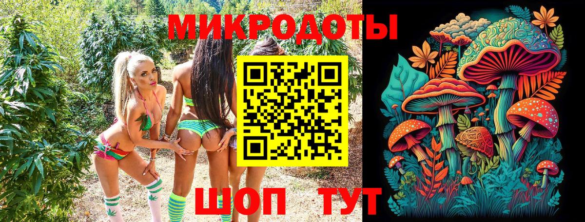 Воткинск  Псилоцибиновые грибы Psilocybe  Вход с VPN 